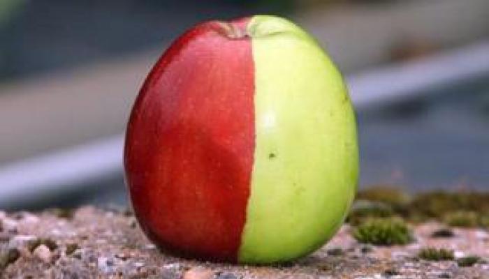 Лучшие заговоры и обряды на яблочный спас Яблочный спас молитвы натальи степановой